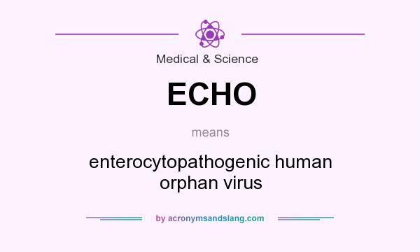 What does ECHO mean? It stands for enterocytopathogenic human orphan virus