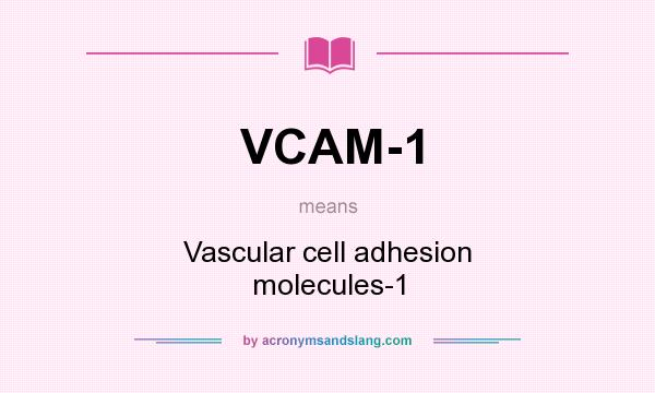 What does VCAM-1 mean? It stands for Vascular cell adhesion molecules-1