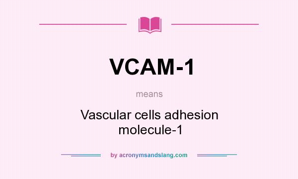 What does VCAM-1 mean? It stands for Vascular cells adhesion molecule-1