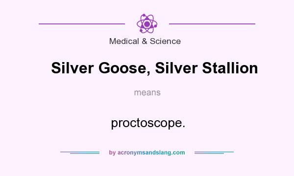 What does Silver Goose, Silver Stallion mean? It stands for proctoscope.