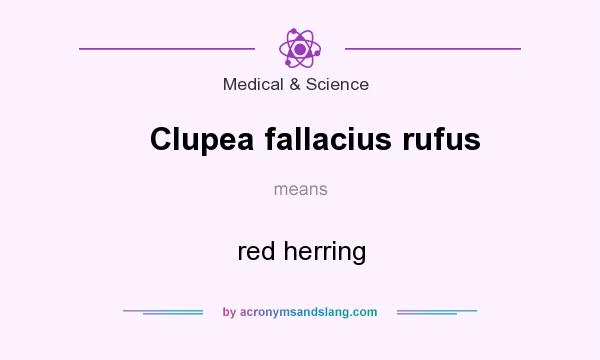 rufus meaning