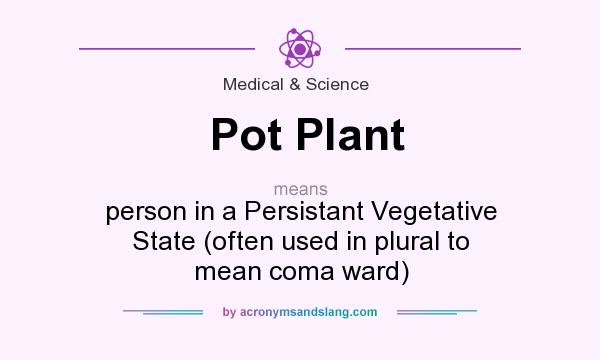 What does Pot Plant mean? It stands for person in a Persistant Vegetative State (often used in plural to mean coma ward)