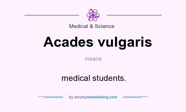 What does Acades vulgaris mean? It stands for medical students.