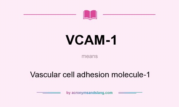 What does VCAM-1 mean? It stands for Vascular cell adhesion molecule-1