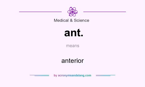 What does ant. mean? It stands for anterior