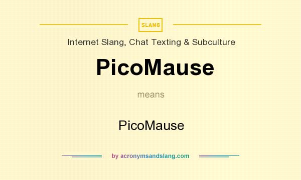 What does PicoMause mean? It stands for PicoMause
