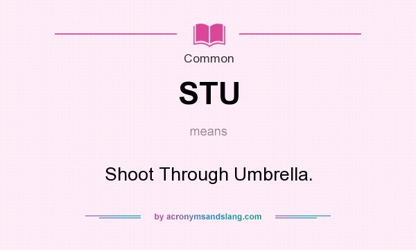 What does STU mean? It stands for Shoot Through Umbrella.