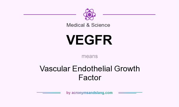 What does VEGFR mean? It stands for Vascular Endothelial Growth Factor