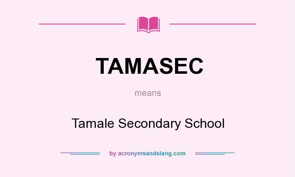 What does TAMASEC mean? It stands for Tamale Secondary School