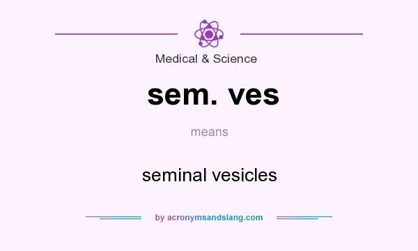 What does sem. ves mean? It stands for seminal vesicles
