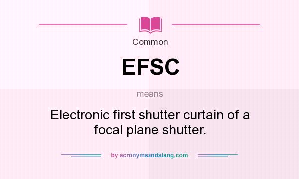 What does EFSC mean? It stands for Electronic first shutter curtain of a focal plane shutter.