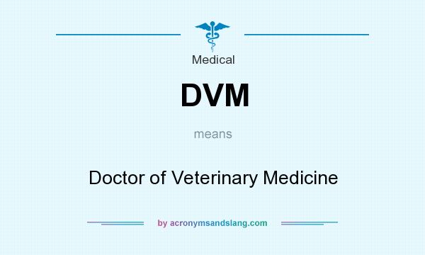 DVM Doctor Of Veterinary Medicine In Medical By AcronymsAndSlang