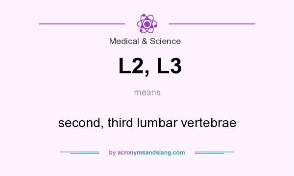 What does L2, L3 mean? It stands for second, third lumbar vertebrae