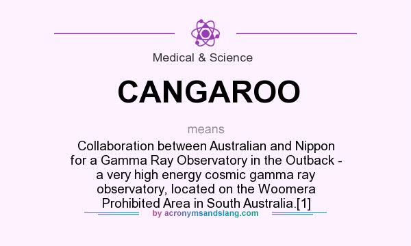 What does CANGAROO mean? It stands for Collaboration between Australian and Nippon for a Gamma Ray Observatory in the Outback - a very high energy cosmic gamma ray observatory, located on the Woomera Prohibited Area in South Australia.[1]
