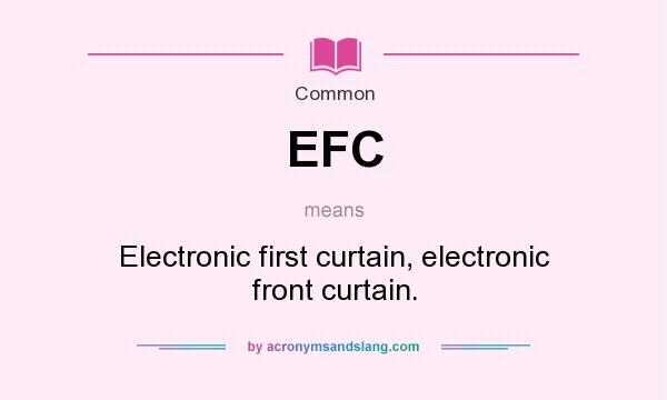What does EFC mean? It stands for Electronic first curtain, electronic front curtain.