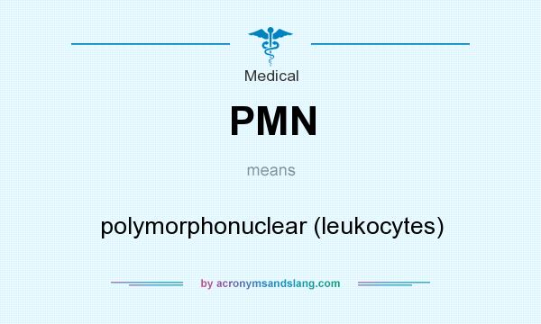 What does PMN mean? It stands for polymorphonuclear (leukocytes)