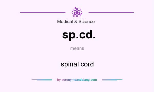 What does sp.cd. mean? It stands for spinal cord