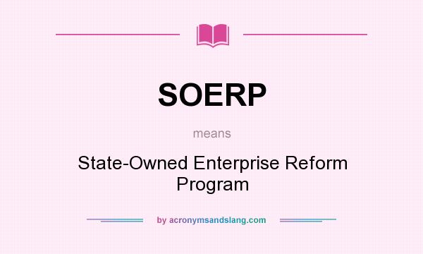What does SOERP mean? It stands for State-Owned Enterprise Reform Program