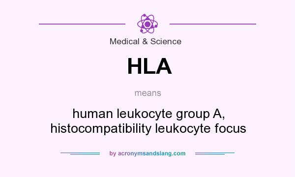 What does HLA mean? It stands for human leukocyte group A, histocompatibility leukocyte focus