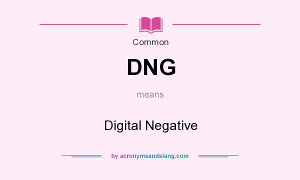 What does DNG mean? It stands for Digital Negative