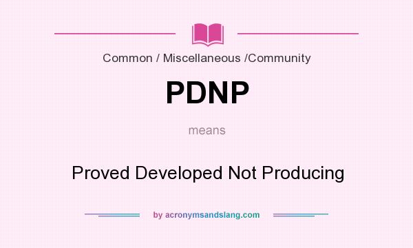 What does PDNP mean? It stands for Proved Developed Not Producing