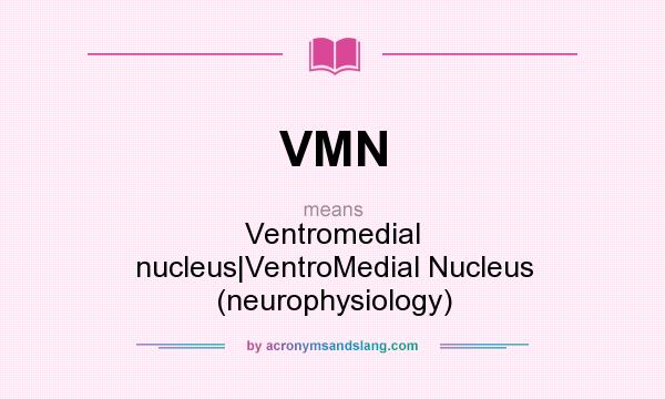 What does VMN mean? It stands for Ventromedial nucleus|VentroMedial Nucleus (neurophysiology)