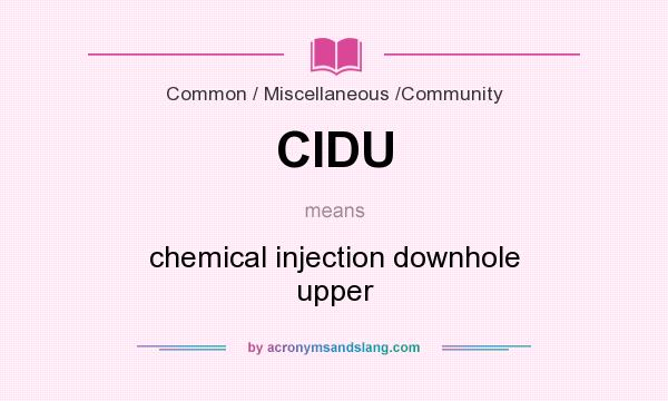 What does CIDU mean? It stands for chemical injection downhole upper