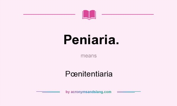 What does Peniaria. mean? It stands for Pœnitentiaria