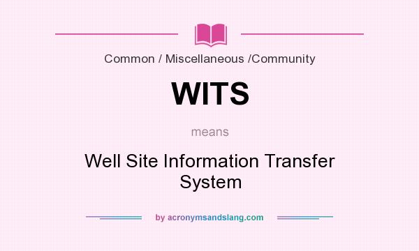 What does WITS mean? It stands for Well Site Information Transfer System