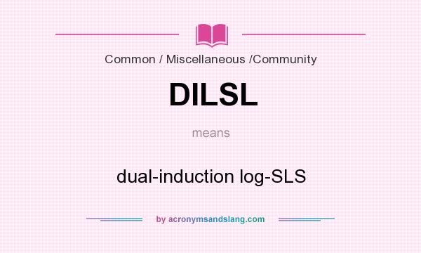 What does DILSL mean? It stands for dual-induction log-SLS