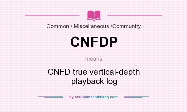 What does CNFDP mean? It stands for CNFD true vertical-depth playback log