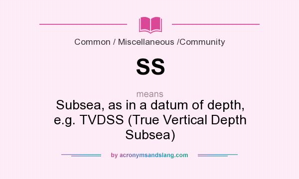 What does SS mean? It stands for Subsea, as in a datum of depth, e.g. TVDSS (True Vertical Depth Subsea)