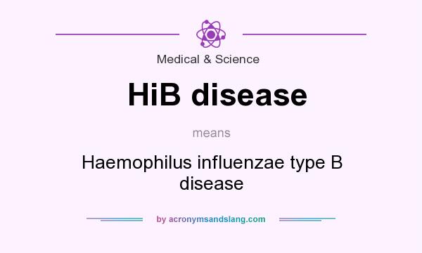 What does HiB disease mean? It stands for Haemophilus influenzae type B disease