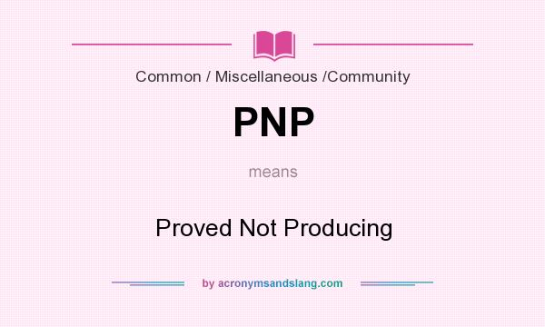 What does PNP mean? It stands for Proved Not Producing