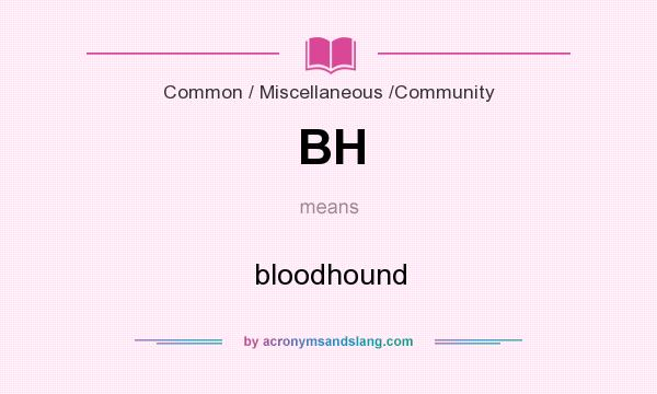 What does BH mean? It stands for bloodhound