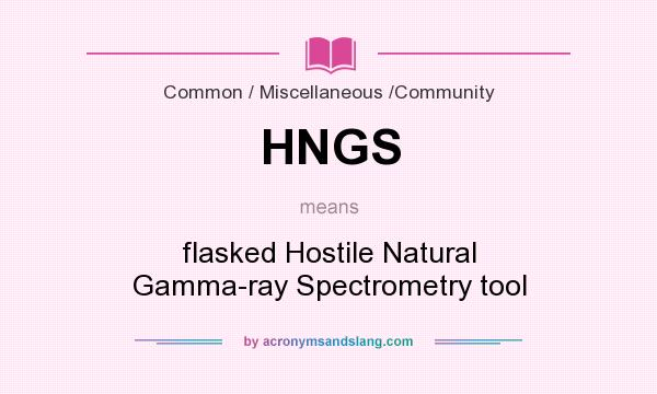 What does HNGS mean? It stands for flasked Hostile Natural Gamma-ray Spectrometry tool