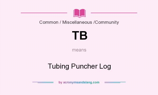 What does TB mean? It stands for Tubing Puncher Log
