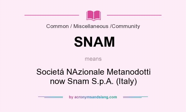 What does SNAM mean? It stands for Societá NAzionale Metanodotti now Snam S.p.A. (Italy)
