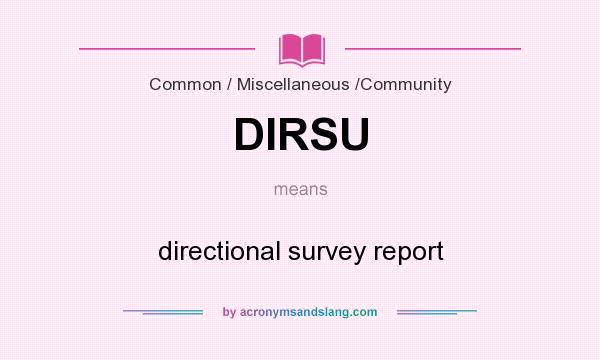 What does DIRSU mean? It stands for directional survey report