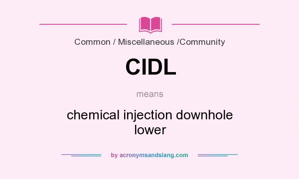 What does CIDL mean? It stands for chemical injection downhole lower