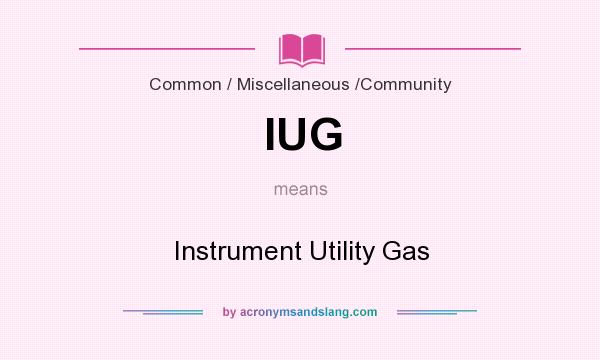 What does IUG mean? It stands for Instrument Utility Gas