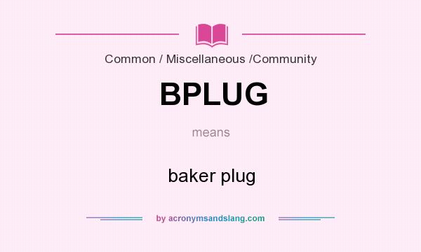 What does BPLUG mean? It stands for baker plug