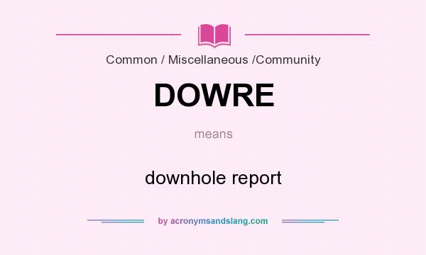 What does DOWRE mean? It stands for downhole report