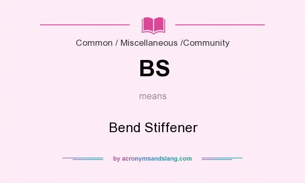 What does BS mean? It stands for Bend Stiffener