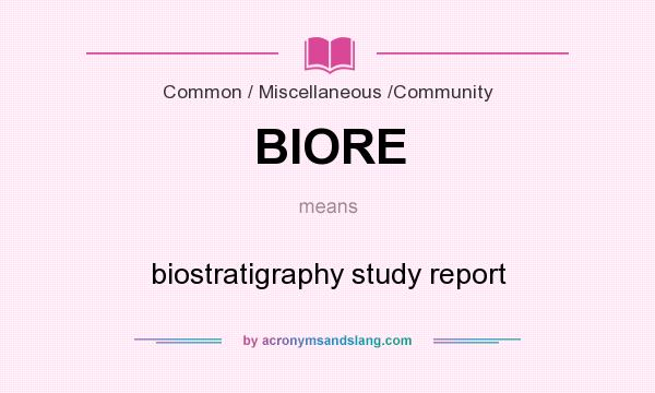 What does BIORE mean? It stands for biostratigraphy study report