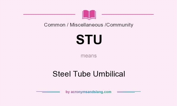 What does STU mean? It stands for Steel Tube Umbilical