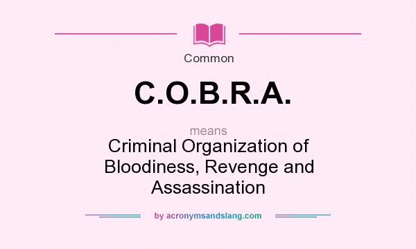 What does C.O.B.R.A. mean? It stands for Criminal Organization of Bloodiness, Revenge and Assassination