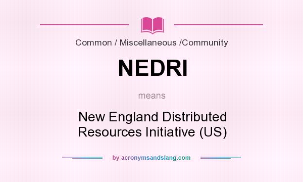 What does NEDRI mean? It stands for New England Distributed Resources Initiative (US)