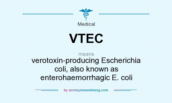 What does VTEC mean? It stands for verotoxin-producing Escherichia coli, also known as enterohaemorrhagic E. coli