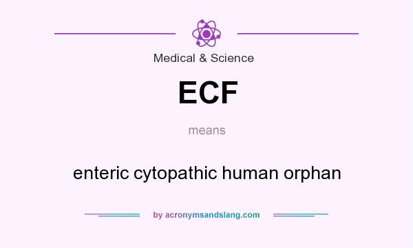 What does ECF mean? It stands for enteric cytopathic human orphan